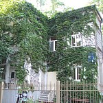 Природонаучен музей